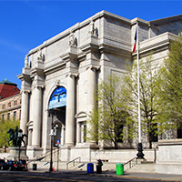 American Museum Of Natural History